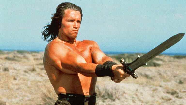 Arnold Schwarzenegger in Conan the Barbarian