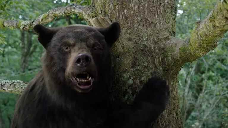 Bande-annonce "Cocaine Bear" : un animal alimenté par la drogue se déchaîne dans un thriller réel Le plus populaire doit être lu
	
	
