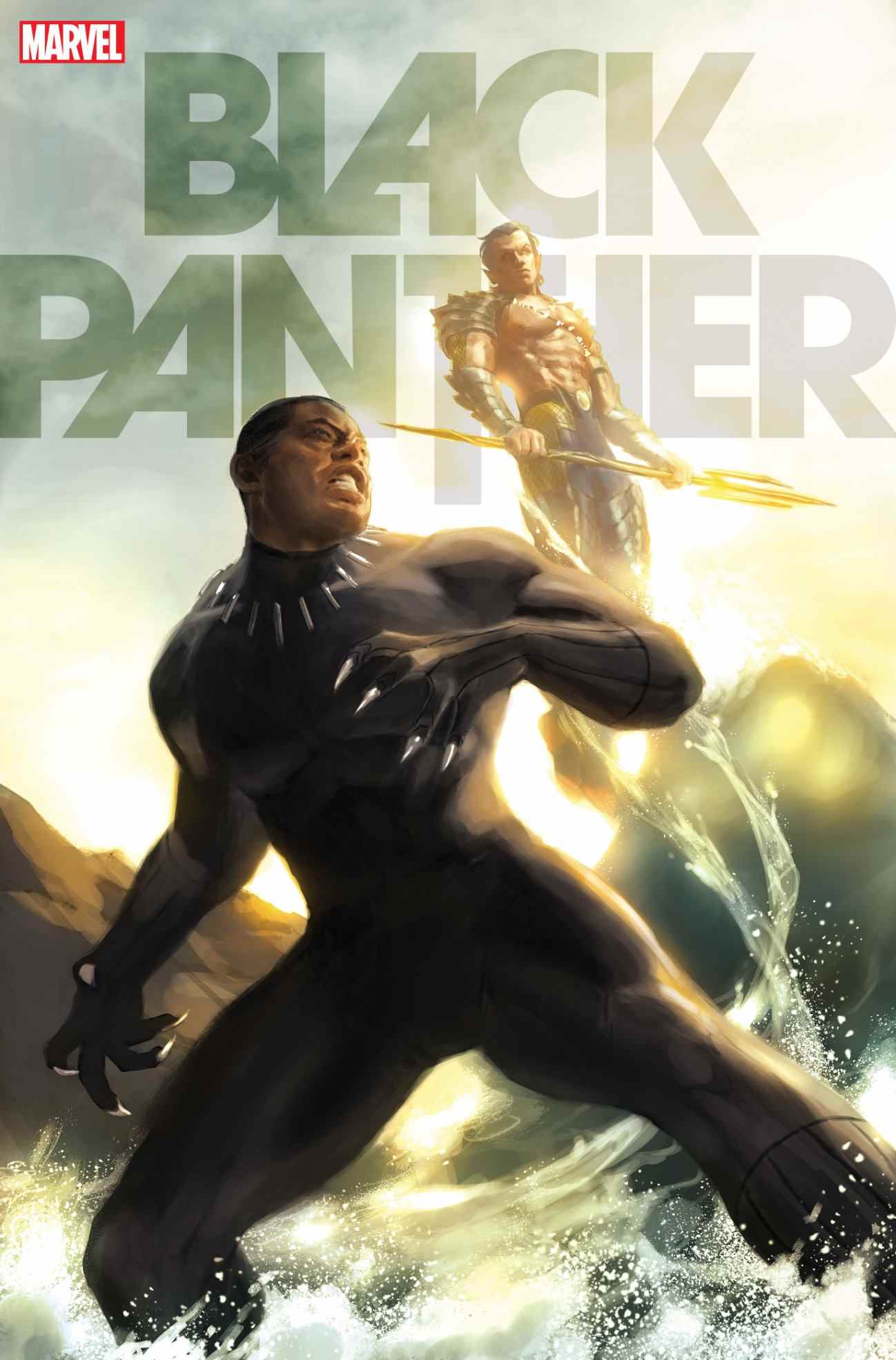 Couverture de la variante Black Panther # 13