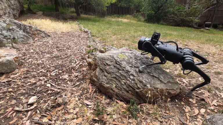 Ce chien robotique peut marcher sur à peu près n’importe quel terrain