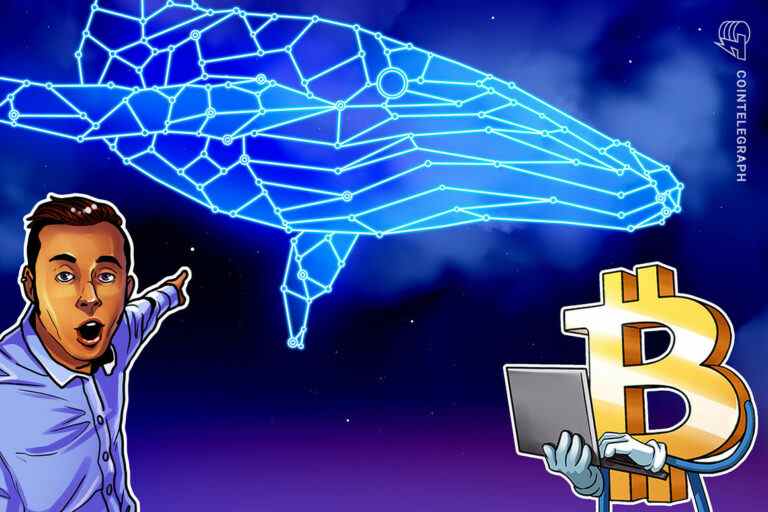 Comment transférer 1 milliard de dollars gratuitement : observation des baleines Bitcoin