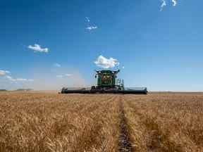 Un agriculteur récolte du blé dans une ferme de la Saskatchewan.