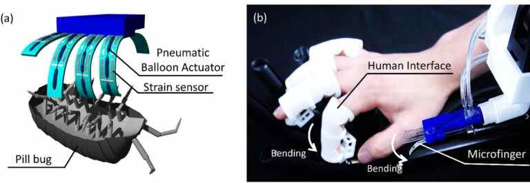 De minuscules doigts robotiques permettent aux humains d’interagir avec les insectes