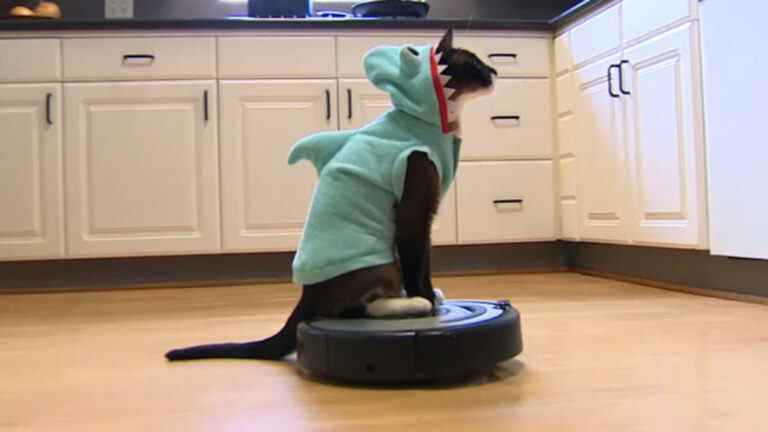 Frapper les livres : comment Dave Chappelle et les chats curieux ont fait de Roomba un nom familier