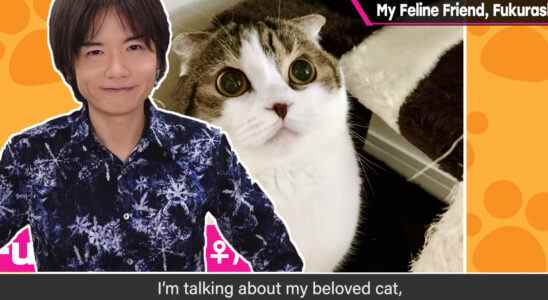 Masahiro Sakurai cat video educational YouTube channel Fukurashi Fukura Kirby Super Smash Bros creator designer