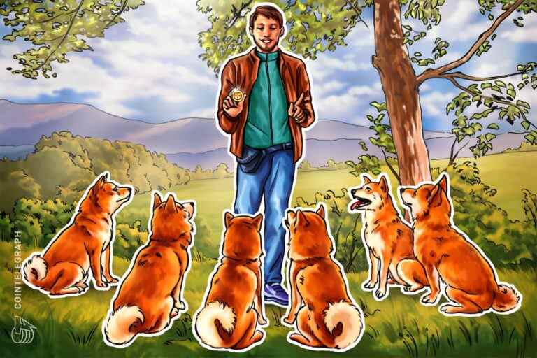 Le prix du Shiba Inu chute à un niveau record par rapport au Dogecoin – L’histoire se répétera-t-elle avec un rallye de 150 % ?