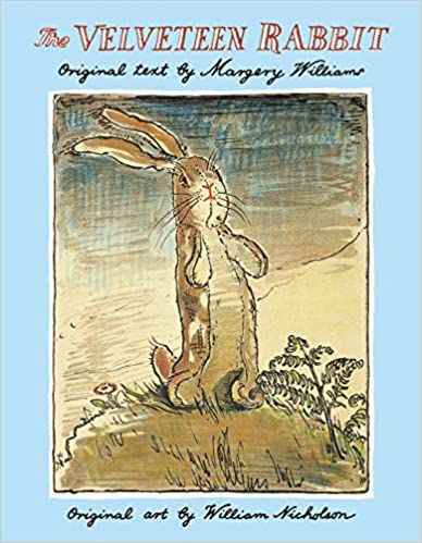 Couverture Le lapin de velours