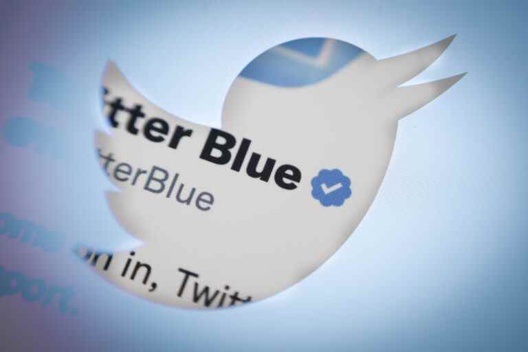 Les nouveaux comptes Twitter devront attendre 90 jours avant de s’abonner à Blue