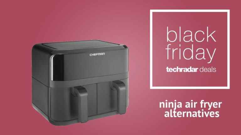 Nous avons trouvé 3 alternatives de friteuses à air Ninja – et elles sont toutes en vente