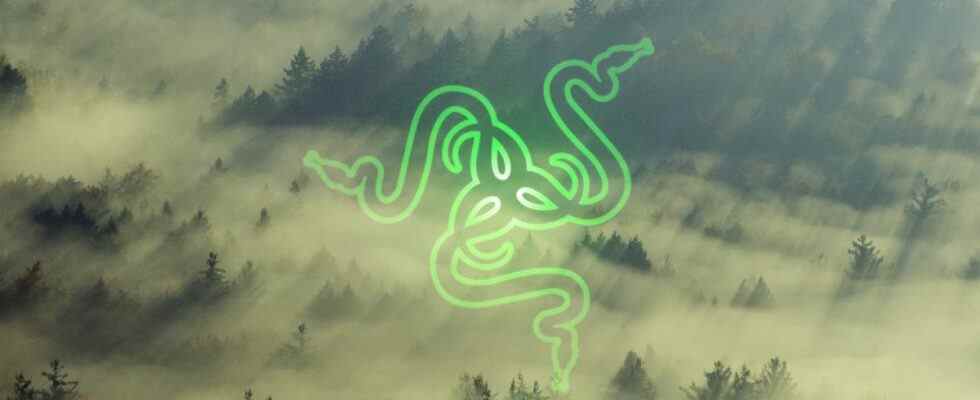 Razer logo on a misty forest backdrop