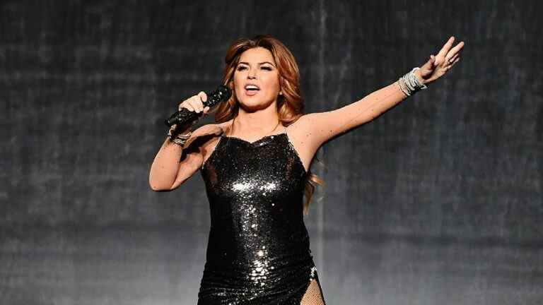 Shania Twain est devenue nue pour son nouvel album : "Je me sens bien dans ma peau"
