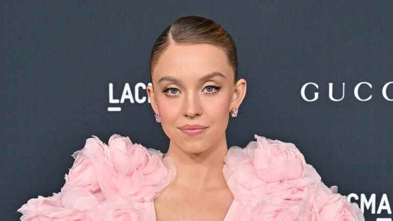 Sydney Sweeney « était un peu nerveuse » de travailler avec Dakota Johnson sur « Madame Web » : « She's So Hot »
	
	
