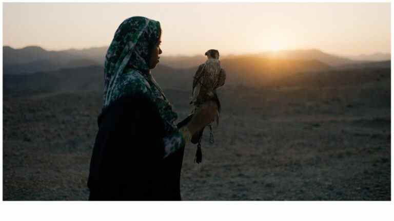 "The Falconer", premier film international tourné à Oman, prévu pour une sortie au Moyen-Orient via Front Row (EXCLUSIF) Les plus populaires doivent être lus Inscrivez-vous aux newsletters Variety Plus de nos marques
	
	
