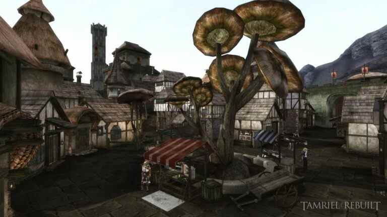 Un mod Morrowind de 20 ans extrêmement ambitieux ajoute deux nouvelles régions majeures
