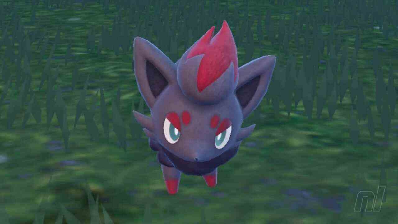 Pokémon Scarlet & Violet: où trouver Zorua
