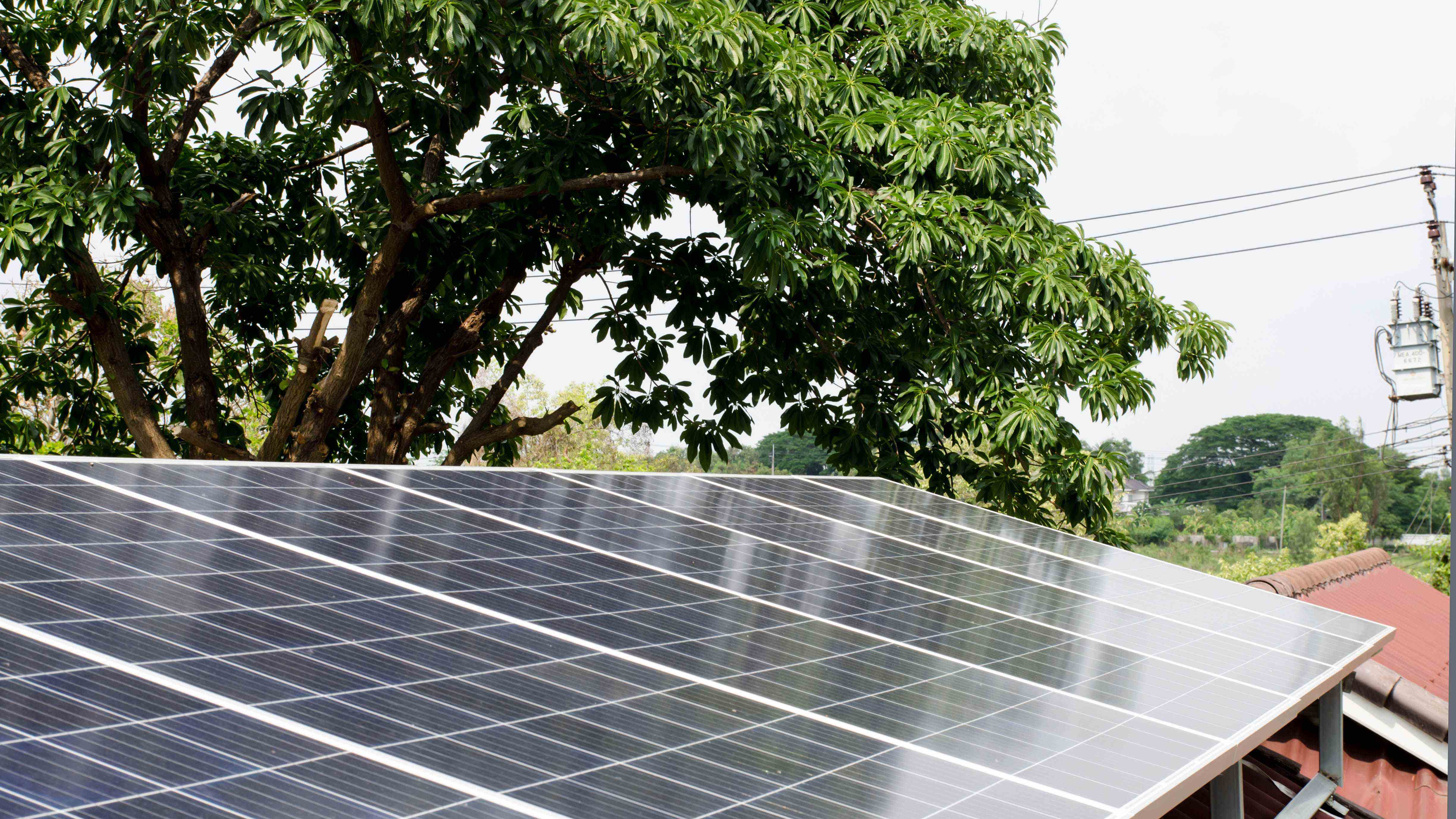 Des panneaux solaires sur un toit avec des arbres en arrière-plan projetant une ombre