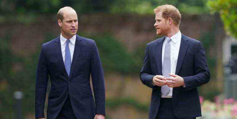 Le prince Harry explique la façon « déchirante » dont lui et William ont été épinglés l’un contre l’autre