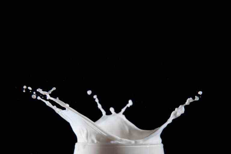 L’avenir du lait, c’est… le lait ?