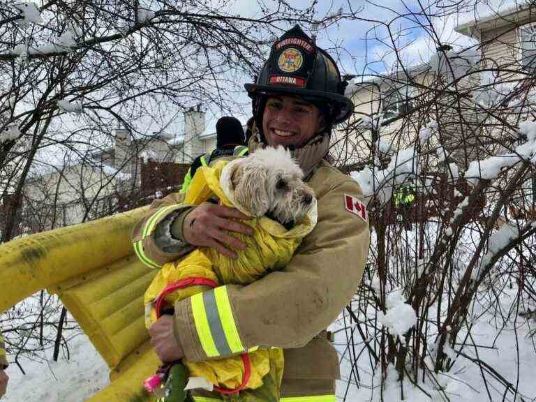 Un pompier recrue aide à sauver un chien, deux victimes d’incendie lors du premier quart de travail