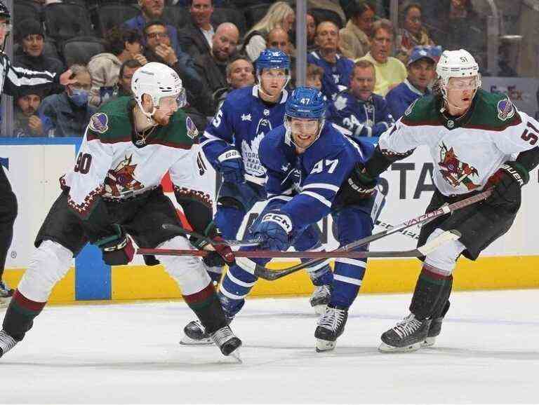 Le but des Maple Leafs reste concentré lors de la première visite au Mullett Arena