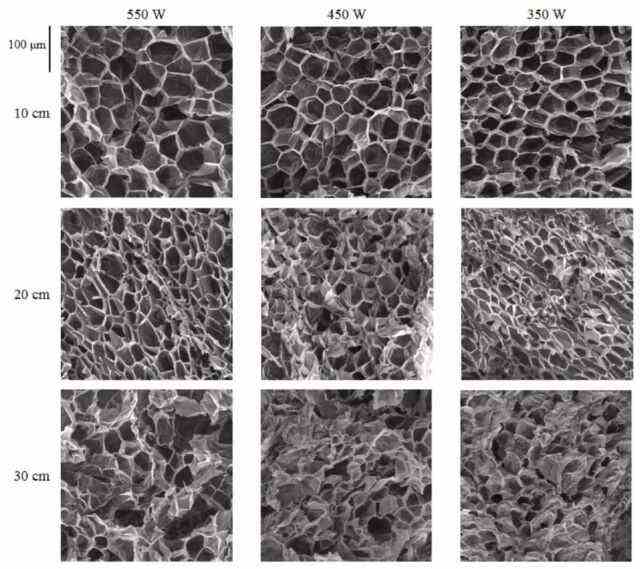 Microscopie électronique à balayage de popcorns expansés à différents stades de soufflage par infrarouge