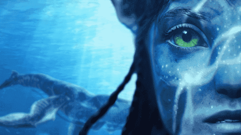 'Avatar: The Way of Water' Critique vidéo sans spoiler
