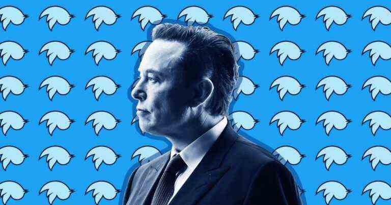 Elon Musk propose de quitter la tête de Twitter dans un sondage