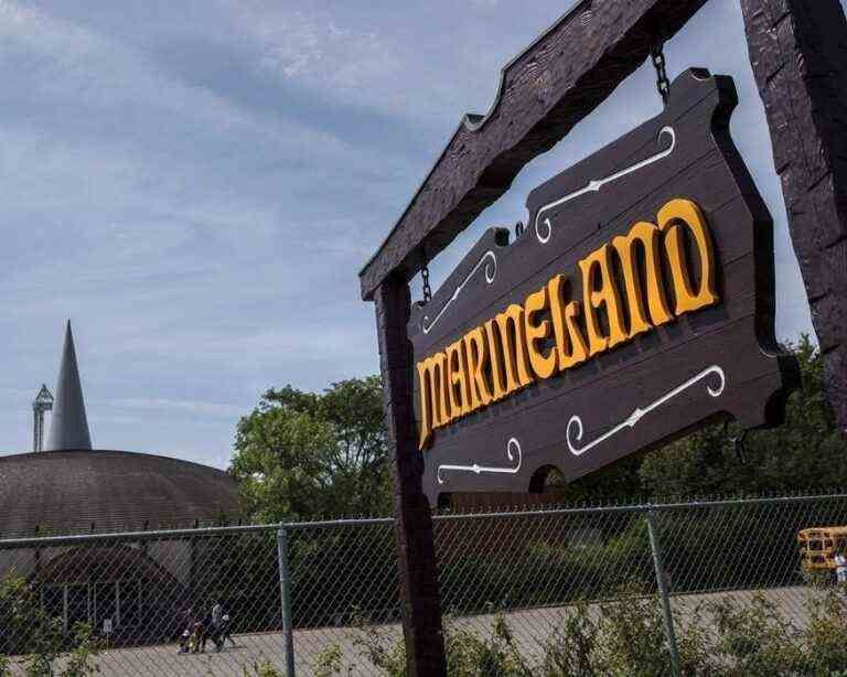 La Couronne suspend l’accusation de cruauté envers les animaux contre Marineland