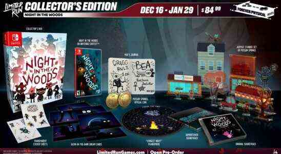 La sortie physique de Night in the Woods inclut l'édition collector