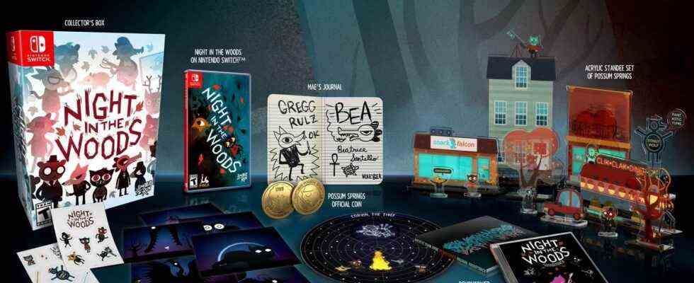 La sortie physique de Night in the Woods inclut l'édition collector