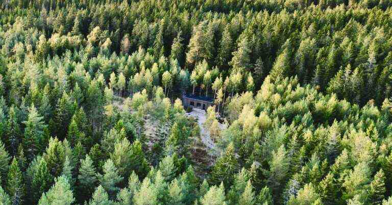 Leçons apprises après avoir vécu dans une location hors réseau InForest