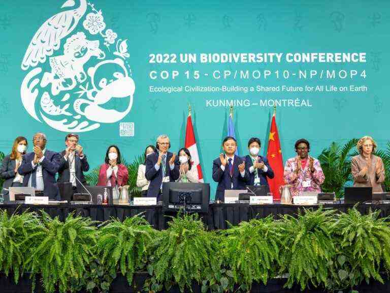 Les négociateurs finalisent l’accord sur la nature avant le dernier jour de la convention COP15