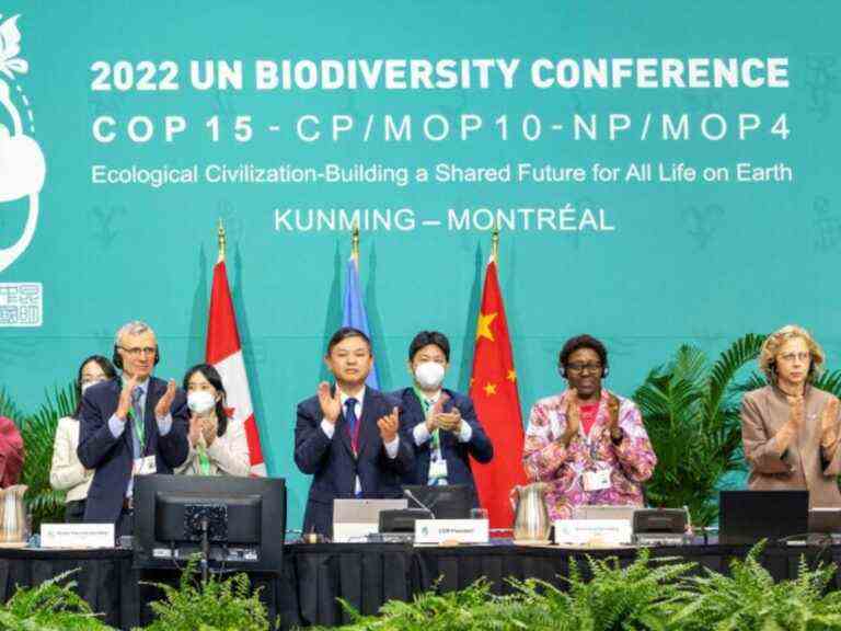 Les négociateurs finalisent un accord historique sur la nature avant le dernier jour de la convention COP15