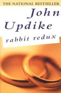 Résumé de Rabbit Redux et description du guide d’étude