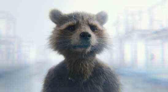 Rocket est le "protagoniste secret" des films des Gardiens de la Galaxie selon James Gunn