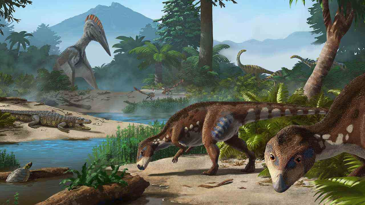 Un nouveau dinosaure a été découvert en Transylvanie
