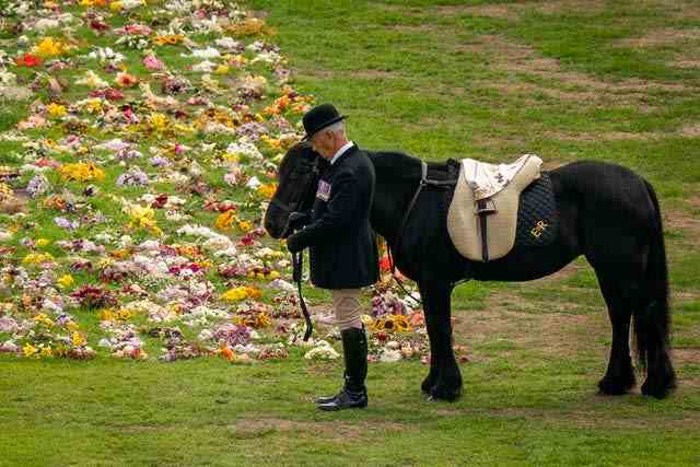 Poney déchu de la reine Emma