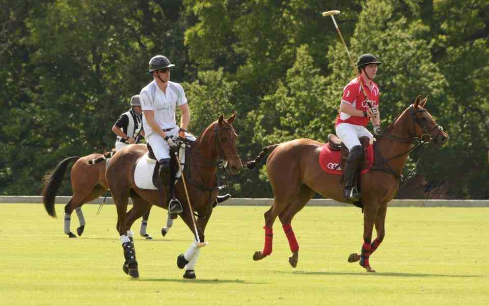 Prince Harry - David M. Benett/Getty Images pour Audi