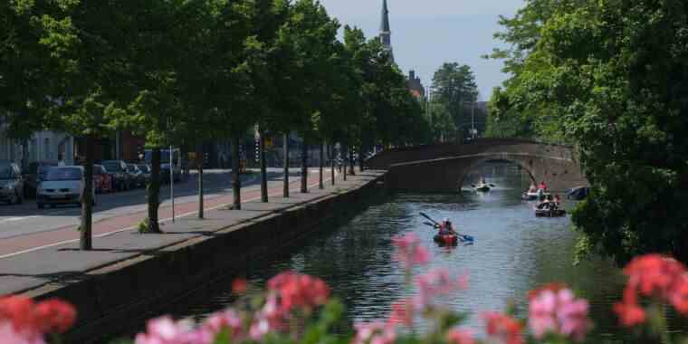 Les yeux de l’homme deviennent sanglants et jaunes après avoir plongé dans un canal rempli d’urine