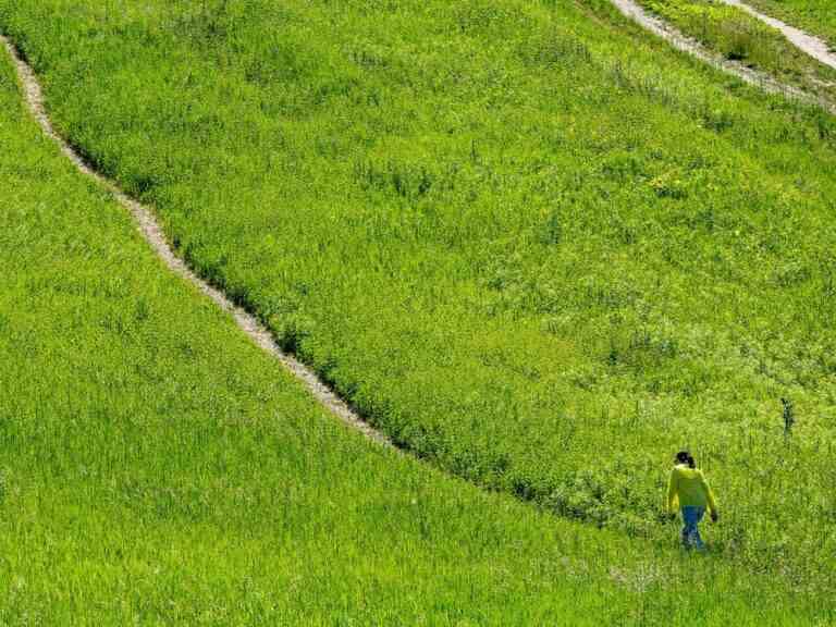 La Police provinciale de l’Ontario décide d’enquêter sur le plan de développement de la Ceinture de verdure du gouvernement de l’Ontario