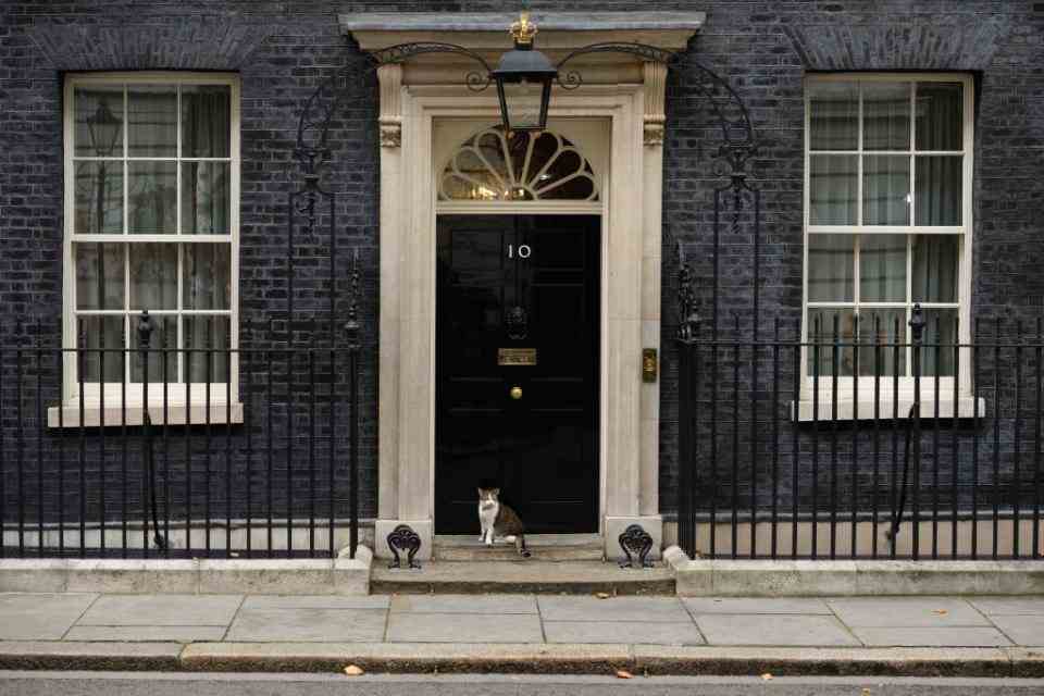 londres, angleterre 10 octobre larry le chat de maison numéro 10 est assis sur la marche de downing street, lors d'une réunion du cabinet le 10 octobre 2017 à londres, angleterre la réunion était la première depuis la conférence du parti conservateur photo de leon nealgetty images