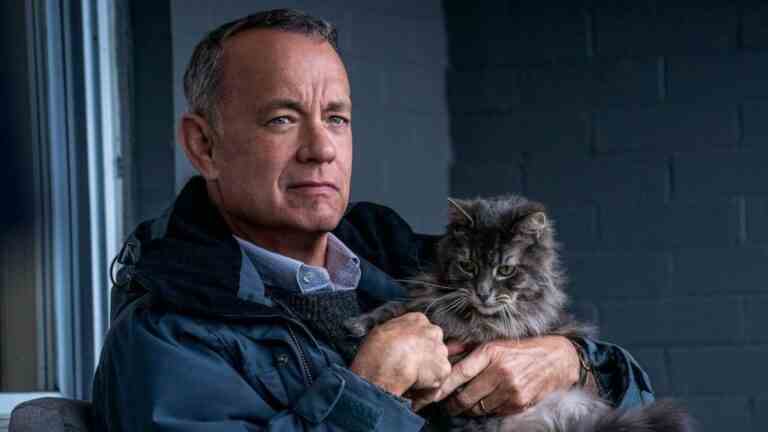 Tom Hanks holds a fluffy grey cat in A Man Called Otto.