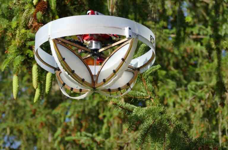 Ce drone doux recueille l’ADN libre des branches d’arbres qui se balancent