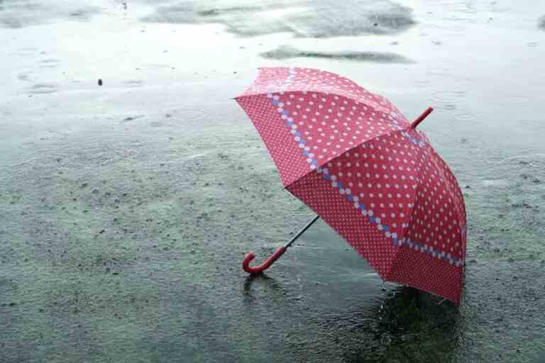 Tech a oublié son parapluie