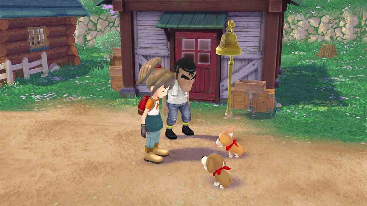 Les premières notes de mise à jour pour Story Of Seasons : A Wonderful Life sont déjà si étranges
