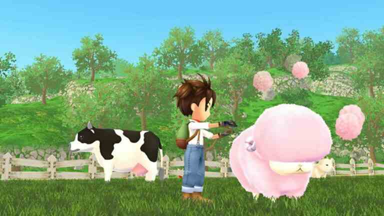 Les joueurs mettent déjà la main sur Story Of Seasons: A Wonderful Life In Japan
