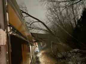 Train Via Rail 55 d'Ottawa à Toronto, montrant l'arbre qui a coincé la voiture à moteur