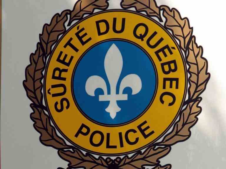 Un motoneigiste québécois décède après avoir peut-être heurté un orignal, selon la police