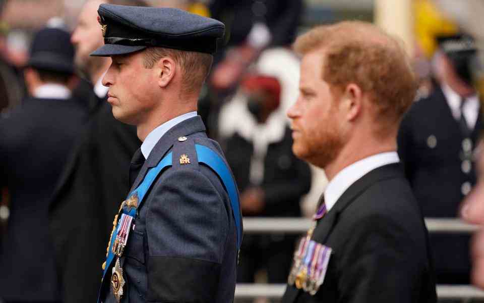 Prince William et Prince Harry - Alberto Pezzali