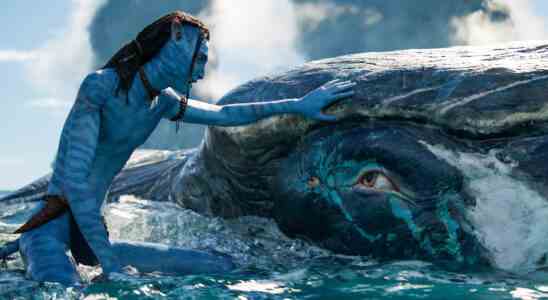 Avatar: The Way Of Water est sur le point d'atteindre le seuil de rentabilité alors que son total au box-office mondial atteint 1,38 milliard de dollars